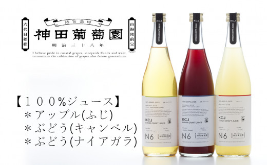 
【神田葡萄園】100%ジュースリアスシリーズ(720ml)×3本セット
