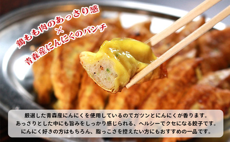 冷凍餃子 にんにくあり 30個×1p  餃子 餃子 餃子 ｷﾞｮｳｻﾞｷﾞｮｳｻﾞｷﾞｮｳｻﾞｷﾞｮｳｻﾞ