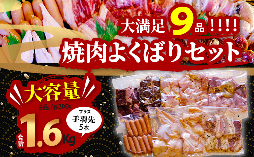【数量限定】 村上精肉店の 焼肉 よくばりセット 1.6kg+手羽先5本  【 9品 味付き 焼くだけ 】 牛カルビ ハラミ 豚バラ タン トントロ 鶏せせり 鶏もも 手羽先 ウインナー 焼き肉 BB