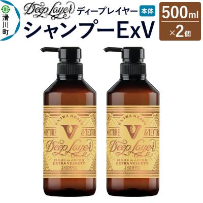 ふるさと納税 滑川町 ディープレイヤー シャンプー ExV 500mL×2個|19_sss-340201