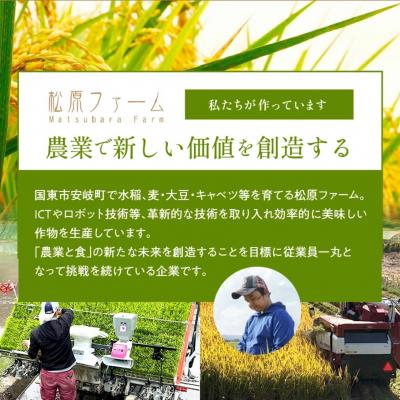 ふるさと納税 国東市 食物繊維たっぷり! 松原ファームの玄米パックライス ひとめぼれ 150g×20P_2577R |  | 03