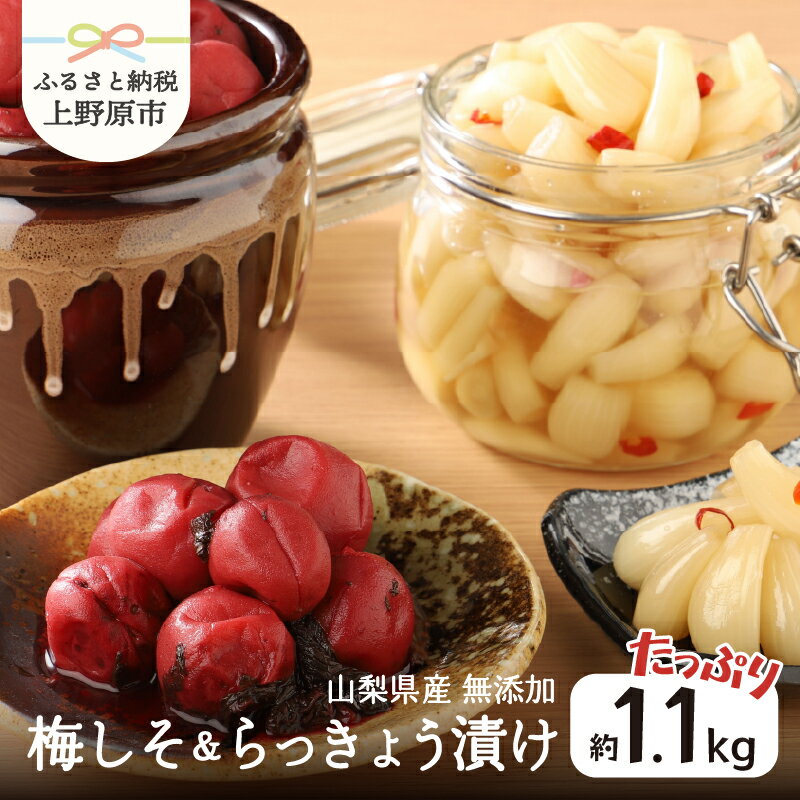 【ふるさと納税】 ＼先行予約！／ 梅干し らっきょう 無添加 手作り 梅しそ漬け らっきょう漬け セット 合計1kg以上 風味豊 昔ながら 自然の味 ギフト プレゼント 贈り物 贈答 送料無料 山梨県 上野原市