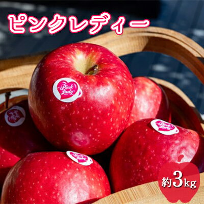【ふるさと納税】中松井農園 ピンクレディー約3kg 12～15玉 果物 フルーツ りんご 長野県産 信州 信州のリンゴ 酸味 小ぶり 芳醇 風味 クッキングアップル デザート 食後 爽やかな酸味 希少　お届け：2026年2月上旬～5月下旬