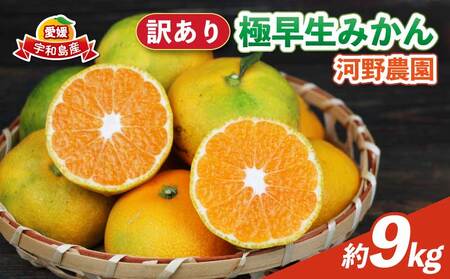 訳あり 極早生みかん 9kg 河野農園 温州みかん 温州 B010-147002