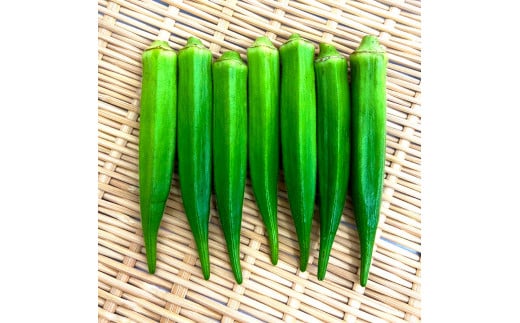 オクラ 20袋 約1.4kg 約1.4キロ おくら 国産 オクラ 新鮮野菜 美味しい 野菜 厳選 新鮮 おかず 常温 配送 副菜 惣菜 煮物 朝どれ 詰め合わせ 取り寄せ グルメ お取り寄せグルメ お