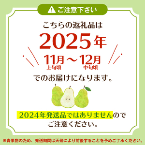 【2025年産 先行予約】 洋なし「ラ・フランス」3kg 山形県 東根市 JA提供 hi003-133-1  令和7年産 2025年産 ラフランス セイヨウナシ 洋梨 洋ナシ 有りの実 梨の実 ペヤ 