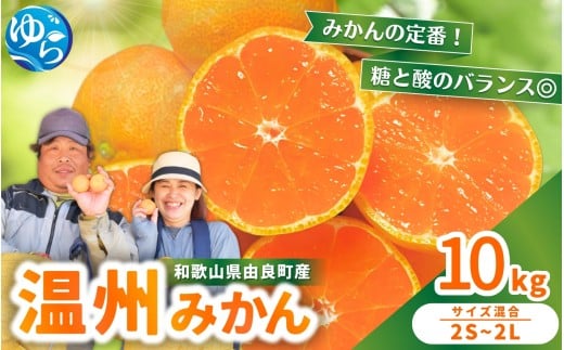 温州みかん 10kg 2S～2Lサイズ混合 ※2025年12月上旬～順次発送 / 温州 ミカン 農家直送　完熟 密柑 くだもの  果実  柑橘 果物 フルーツ 和歌山県 由良町 人気 おすすめ 産地直送【nktn011-12】