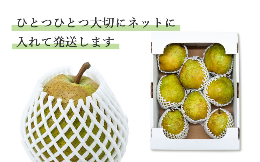 【令和6年産】ラ・フランス 3Lサイズ 約5kg　山形県鶴岡市産 （2024年11月中旬頃～発送） 長南農園