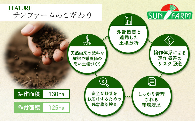 かぼちゃ 10kg（5～8玉）【2401101】