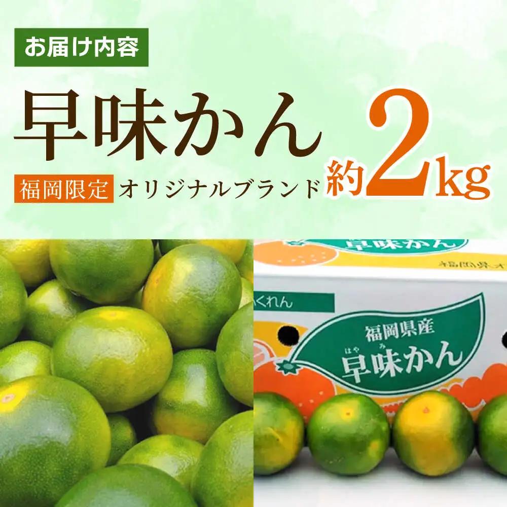 【先行予約】福岡 早みかん 約2kg BGAG013 果物 温州みかん