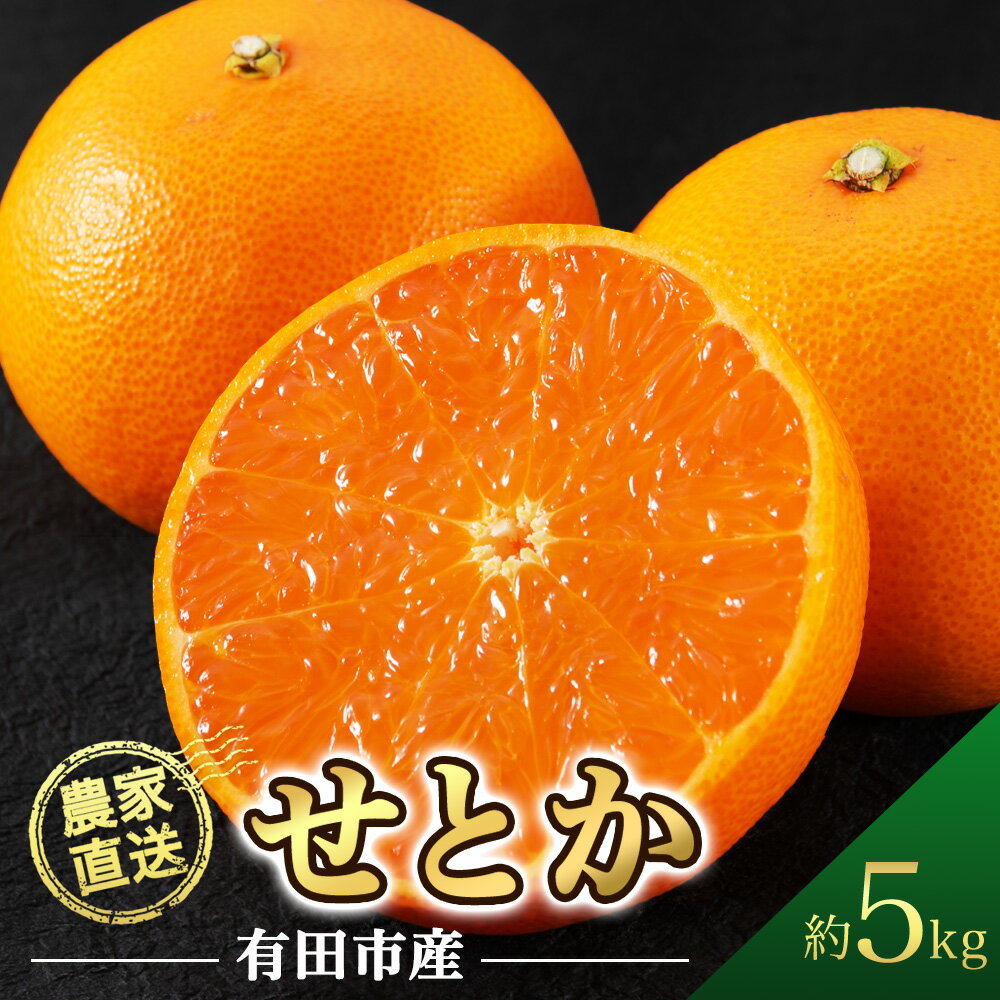 【ふるさと納税】【年内予約受付中！】 せとか 約5kg みかん 濃厚 甘い 柑橘 大トロ フルーツ 果物 くだもの 人気 おすすめ レビュー高評価 ギフト 贈答 送料無料 国産 和歌山 有田市【2026年2月中旬より順次発送】（A139-1）