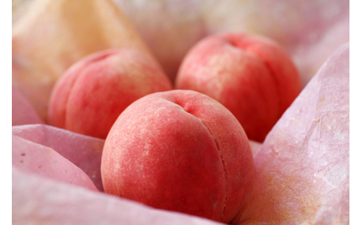 M003　【名産】『あら川の桃』３個入