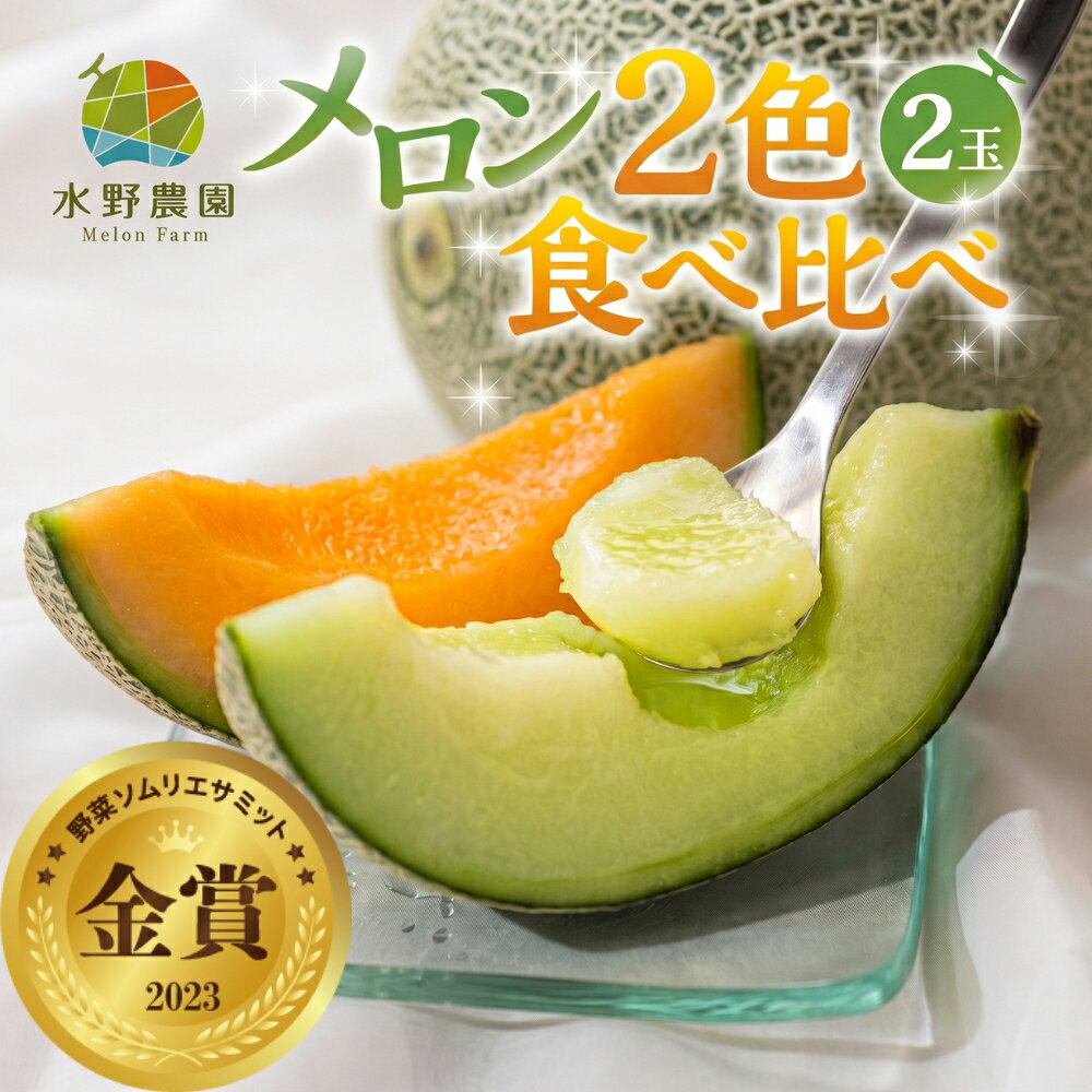 【ふるさと納税】 先行予約 2027年お届け タカミメロン 2色食べ比べ2玉 メロン めろん 先行受付 フルーツ 果物 お中元 お取り寄せ ギフト 渥美半島 田原市 産地直送 送料無料 農家直送 産直 赤肉 青肉 タカミメロン タカミレッド くだもの デザート 赤肉メロン