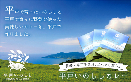 【12回定期便】平戸いのしし 本格スパイスカレー 3食【IMFホールディングス株式会社】[KAB183]/ 長崎 平戸 イノシシ 猪 いのしし レトルト カレー 中辛 定期便