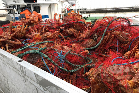 【先行予約】【かにハラミ 三種セット】 100g×3（網走産） ※着日指定不可（2025年9月30日以降発送）【 ふるさと納税 人気 おすすめ ランキング かに カニ 蟹 いばらがに ハラミ かにハラ