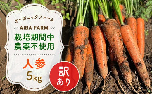 
【12月～2月発送】【栽培期間中農薬不使用】訳あり人参５㎏ オーガニックファーム AIBA FARM　Ｂ品 / 野菜 やさい にんじん 人参 ニンジン 名産 特産 甘い 美味しい 訳あり 不揃い B級 オーガニック organic 健康 ヘルシー フードロス AIBA FARM アイバファーム 千葉県 富里市 TML006
