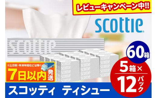 ティッシュペーパー スコッティ 200組 60箱(5箱×12パック) ティッシュ レビューキャンペーン中 日用品 7日以内発送