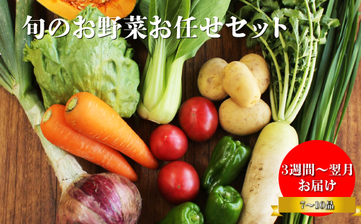 高知から直送！旬の季節のお野菜セット（7~9品）