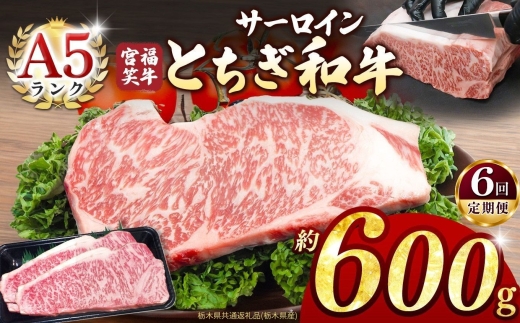 【定期便6回】宮福笑牛(とちぎ和牛) A5 サーロインステーキ 約200gx3枚  | 牛肉 和牛 ステーキ  定期便 サーロイン ステーキ ステーキ用 旨味 美味しい 肉 お肉  栃木県共通返礼品（栃木県産） 栃木県 真岡市