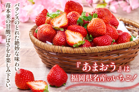 【期間限定発送】いちご あまおう 4パック いちご