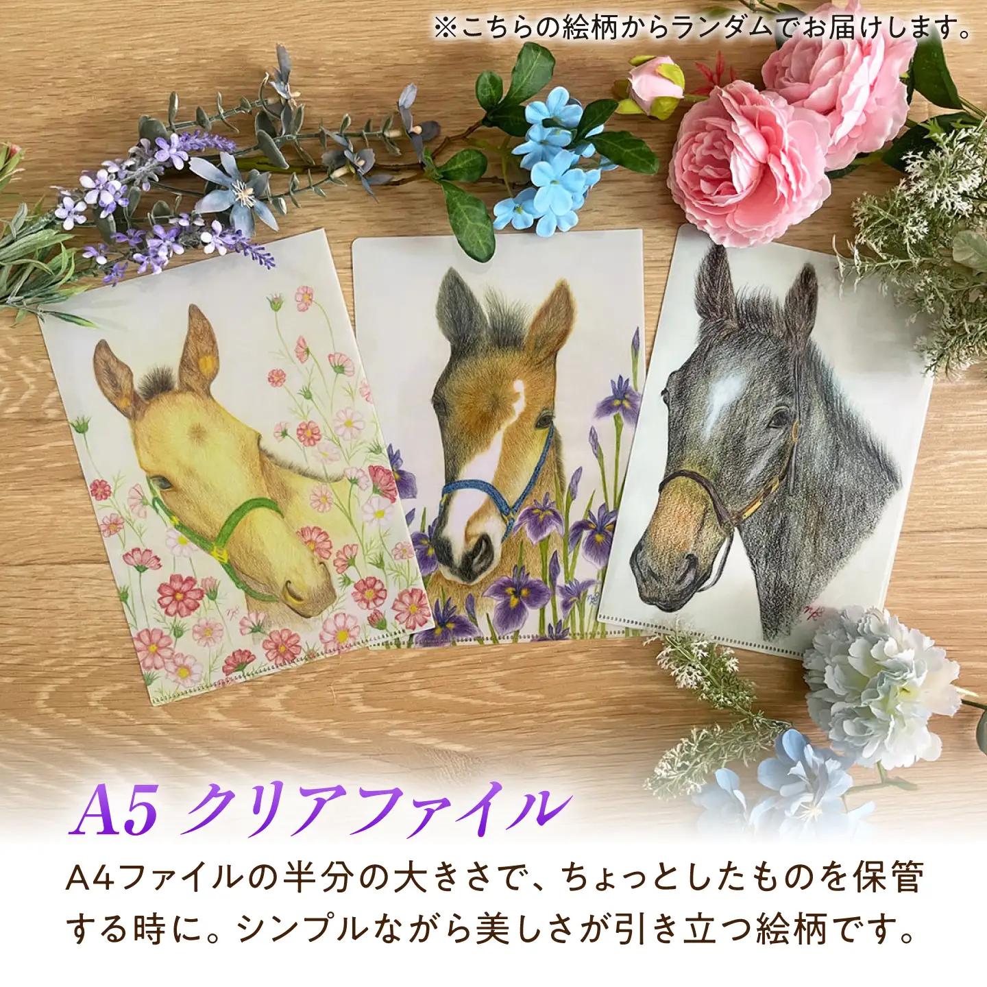 馬と花のステーショナリーセット BIBN007 競馬グッズ 競馬