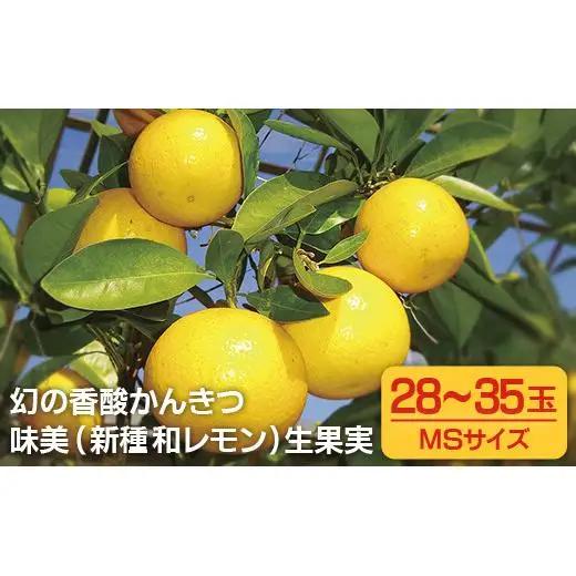 【 和 レモン 】 3kg 柑橘 生果実 レモン C168