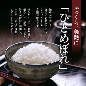 令和7年産 【定期便 6回】宮城県大河原町産 ひとめぼれ 5kg×1袋 ×6ヵ月(計30kg) 米 お米 精米 白米 令和7年 宮城県産