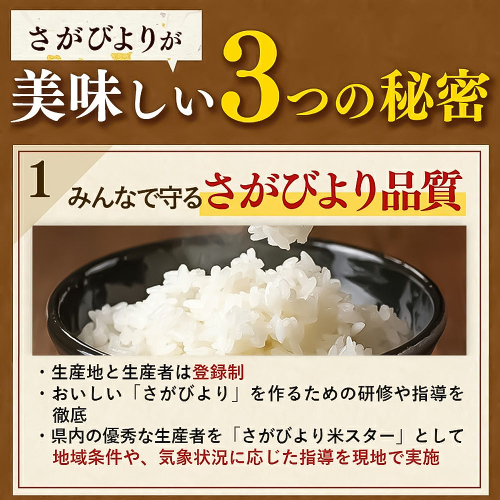 【令和7年産】さがびより 精米 15kg(5kg×3袋)【特A受賞米 人気 佐賀県産 ブランド米 増田米穀】(H015225)