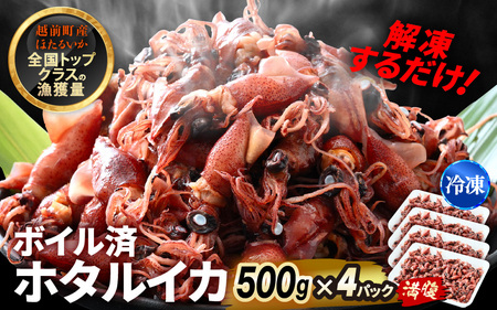 解凍するだけ ! 越前町産 ボイル済 ホタルイカ 満腹 計2kg（500g × 4P） 急速凍結 冷凍 ほたるいか 全国トップクラスの漁獲量【茹で ボイル 日本海 いか イカ 烏賊 福井県 魚介 海鮮 惣菜 さかな おつまみ 酒の肴 お取り寄せ グルメ 宅飲み 小分け 日常使い おすそわけ ギフト】 [e15-a055]