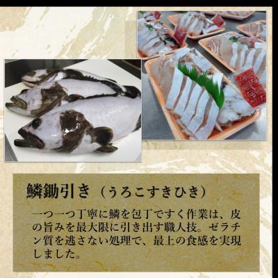 ふるさと納税 松浦市 鷹島のうまかクエ鍋用　2〜3人前 |  | 02