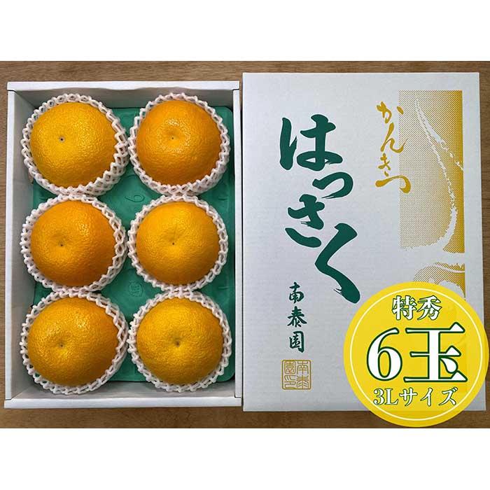 【ふるさと納税】化粧箱 手詰め 有田 はっさく 特秀 大玉 3L サイズ × 6玉入 南泰園 みかん | 和歌山 果物 くだもの フルーツ 柑橘 蜜柑 はっさく特秀 化粧箱 取り寄せ ご当地 期間限定