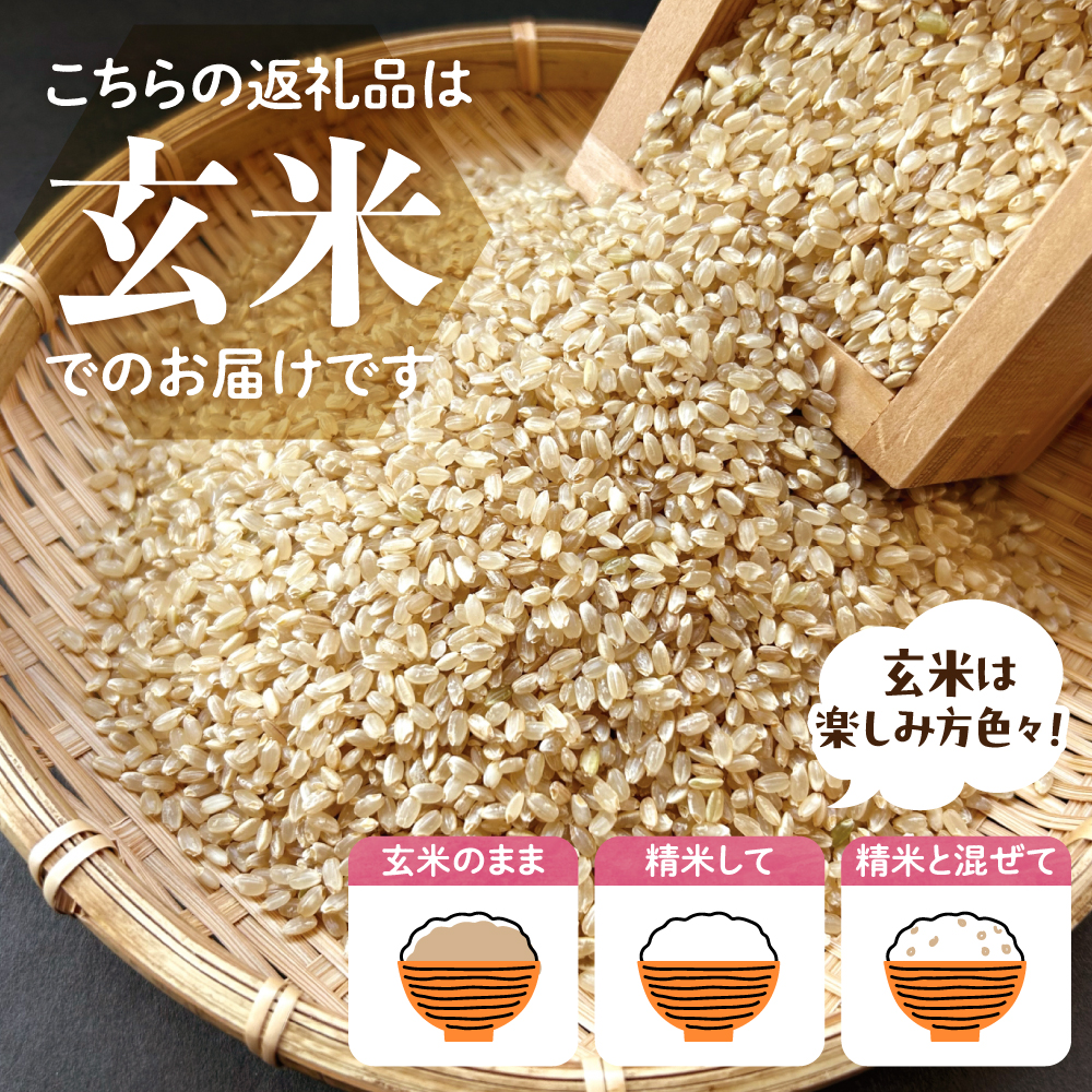 2026年6月発送【令和7年度産】群馬県千代田町産 あさひの夢 5kg×1袋 (玄米) 群馬県 千代田町