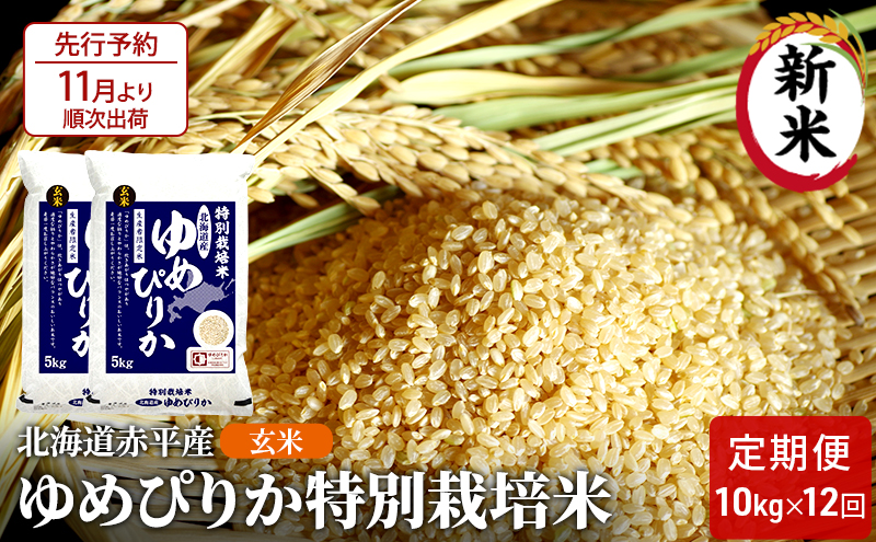 【先行予約2024年産米・11月より順次出荷】玄米 北海道赤平産 ゆめぴりか 10kg (5kg×2袋) 特別栽培米 【12回お届け】 米 北海道 定期便