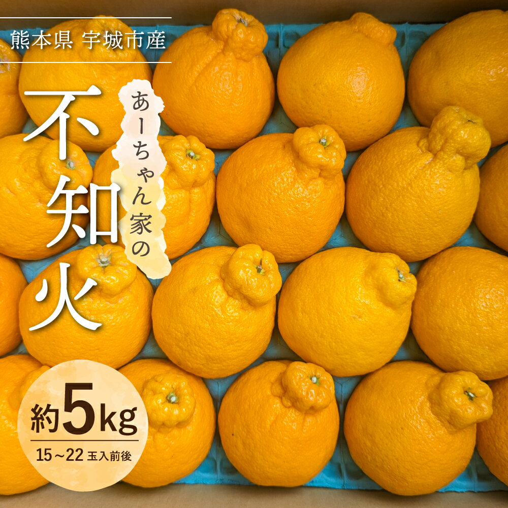 【ふるさと納税】【先行予約】 不知火 あーちゃん家の不知火 約5kg (15〜22玉前後) 【2026年4月上旬〜5月下旬発送予定】 しらぬい 柑橘 熊本県産 九州産 国産 宇城市産 早川果樹園