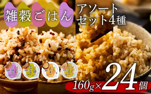 雑穀ごはん アソートセット 4種 160g 24個 十六雑穀 発芽玄米 玄米 もち麦 パックごはん パックご飯 ごはんパック ご飯パック パックライス パック 16雑穀 雑穀 米 ごはん ご飯 こめ 