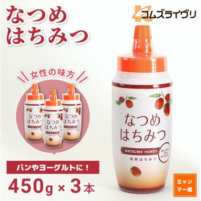 【ふるさと納税】なつめはちみつ　450g×3本【1642044】