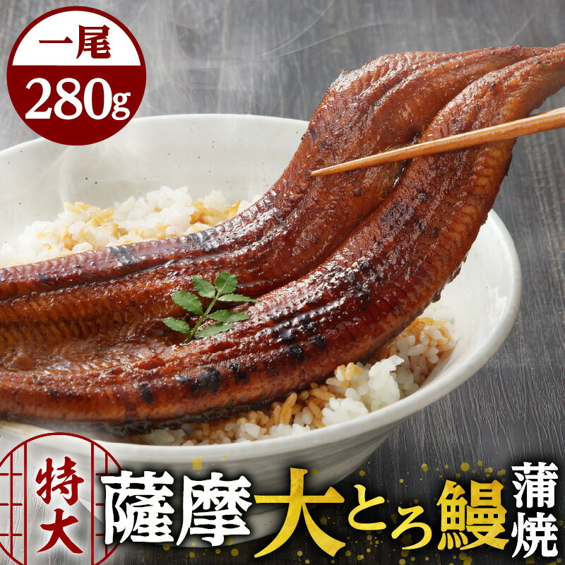 【ふるさと納税】【土用の丑の日特集】 薩摩 大とろ鰻 蒲焼 特大サイズ 一尾 280g うなぎ 鰻 うな丼 丼 うな重 ひつまぶし 大とろ 土用の丑の日 丑の日 惣菜 魚 冷凍 うなぎのたれ 秘伝のたれ タレ せんゆう鰻屋 株式会社志 鹿児島市 おすすめ ランキング プレゼント ギフト