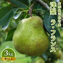 【ふるさと納税】 洋梨 ラ・フランス 秀 以上 3kg 【令和6年産】果物 果実 フルーツ 山形 洋なし 西洋梨 秋 旬 送料無料 産地直送 お取り寄せ 山形県 河北町【かほくらし社】