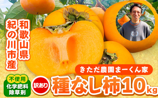 
                  【訳あり】まーくん家のたねなし柿 約10kg 《2026年9月下旬-10月末頃出荷》 かき 種なし きただ農園まーくん家 和歌山県 紀の川市 ご家庭用
                