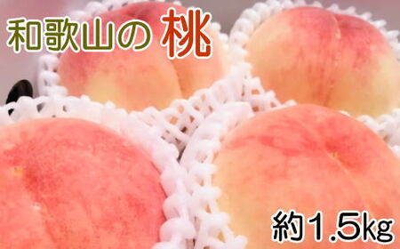 【産直・人気の特産品】和歌山の桃　約1.5kg  ※2025年6月下旬頃から8月上旬頃順次発送【tec946A】