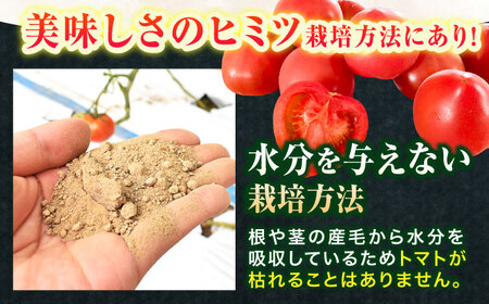 小串トマト 約1kg[OAE001] とまと トマト