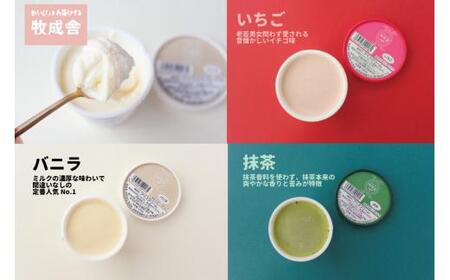 飛騨の牛乳屋 牧成舎 ミルクの旨味たっぷり 業務用 １L アイスクリーム 3種 合計3Ｌ アイス 冷菓 お菓子 おかし おやつ 乳製品 ギフト プレゼント バレンタイン ホワイトデー 母の日 牧成舎 