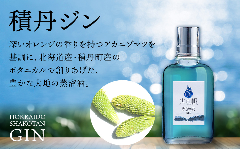 火の帆(HONOHO) KIBOU BLUE 100ml 4本