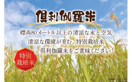 米 令和7年 火牛の里 倶利伽羅米 (特別栽培米) 5kg×1袋 [JA石川かほく 石川県 津幡町 tb17nir90050]