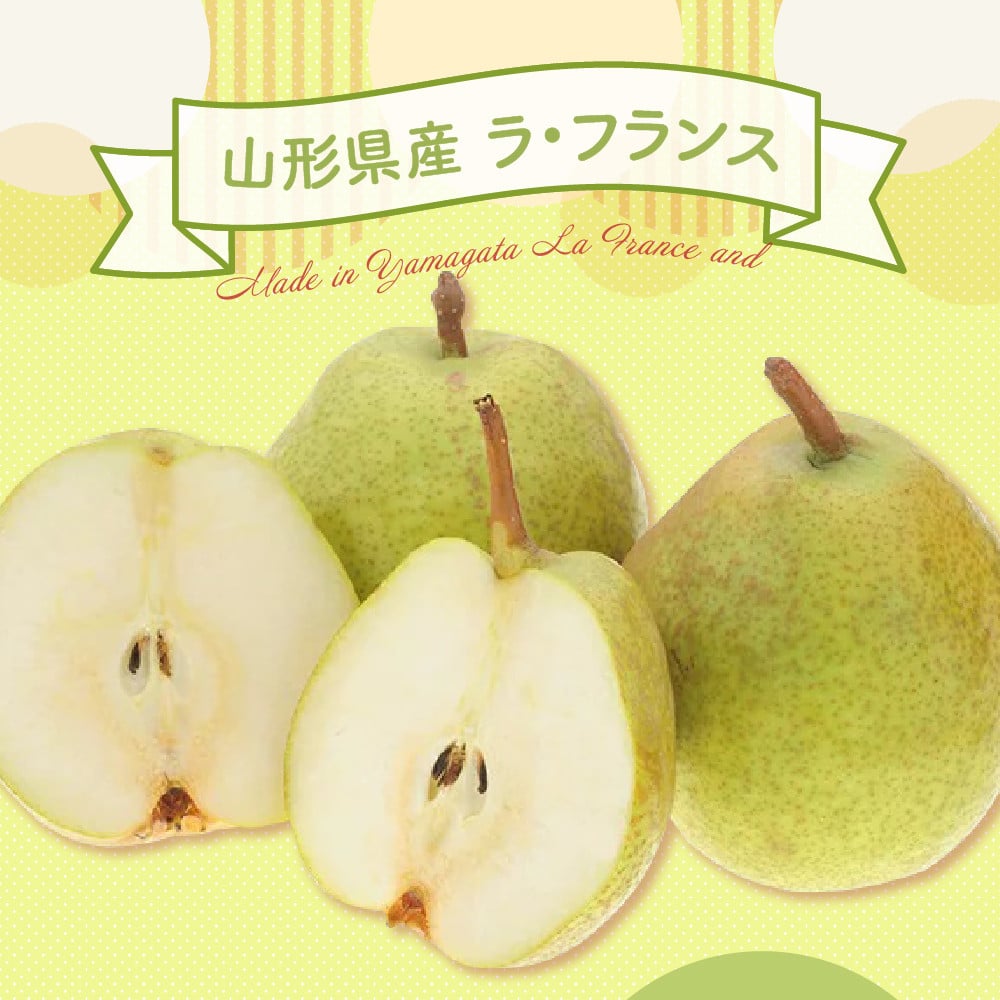 写真はイメージです