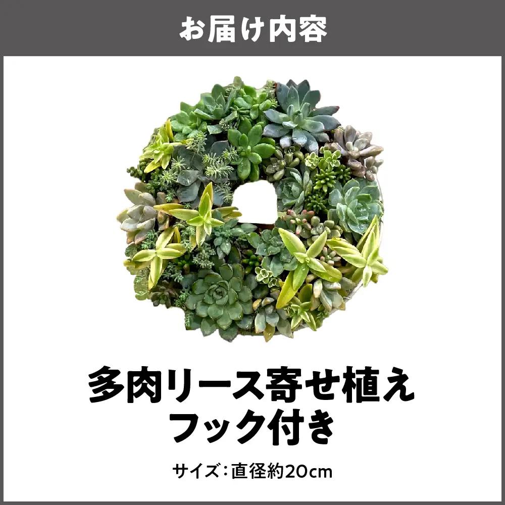 【にじたま園芸部】多肉のリース寄せ植え【直径約20CM】_OS110-0001