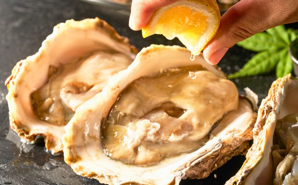 夏季限定！ 安宅産 天然 岩がき 中サイズ 3kg (9~10個)【石川県漁業協同組合小松支所】