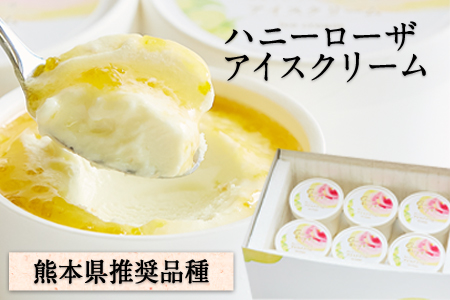 糖度17度の甘さ♪ハニーローザアイスクリーム 120ml×8個《60日以内に出荷予定(土日祝除く)》 熊本県玉名郡玉東町 すもも ハニーローザ アイス ぷらっとぎょくとう