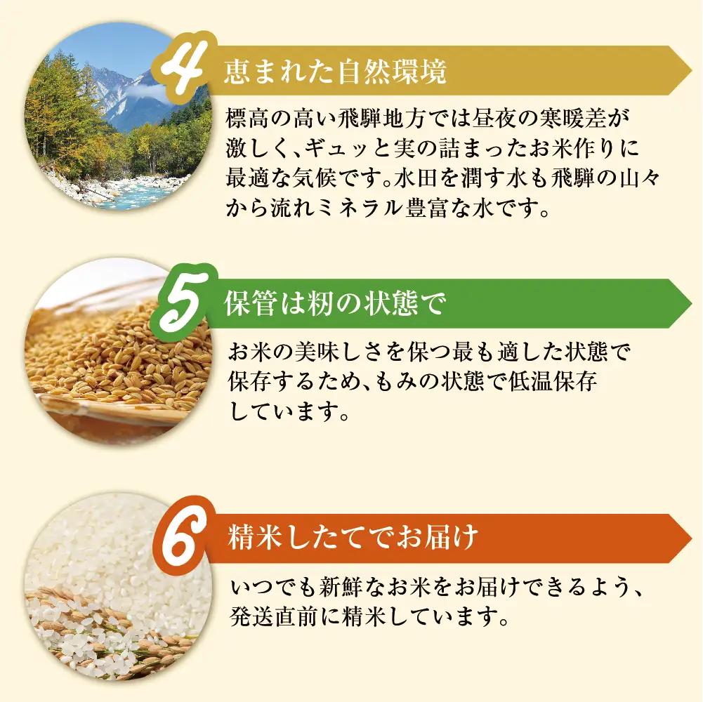 令和7年産 こしひかり飛騨っ晴れ 白米 10kg 生産者直送 お米 コシヒカリ 飛騨産 飛騨高山 アグリランド  JF008