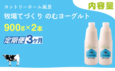 【定期3ヶ月】のむヨーグルト 900g ×2 SKB032